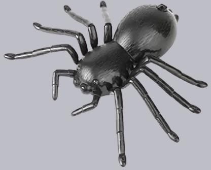 Spider Crawl Battery Operated For Kids